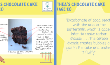 Images of Thea's Chocolate Cake with labels and a quote from the submission