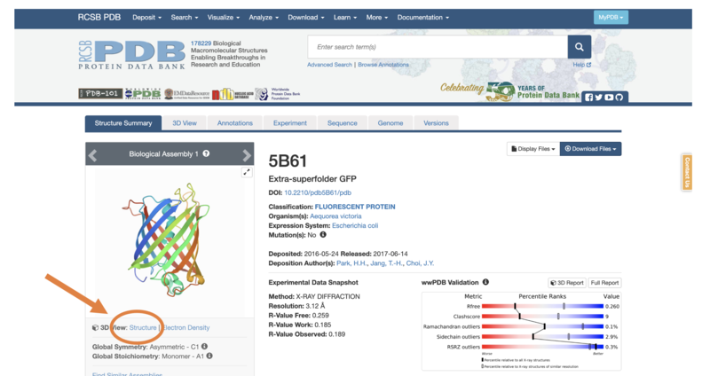 Screenshot showing the 3D structure selection for the ion channel protein with PDB ID "5b61"