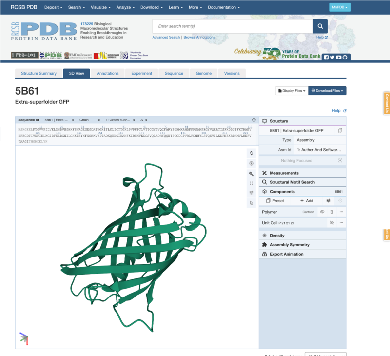 Image of the 3D Viewer showing the GFP structure