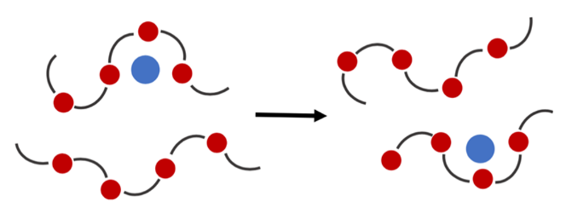 Li+ transfer via polymers diagram
