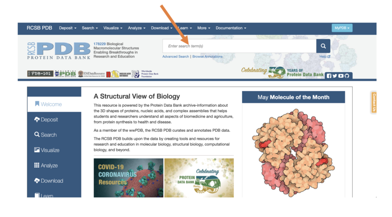 Use the search bar on the PDB website to search for the GFP protein, using ID "5B61"