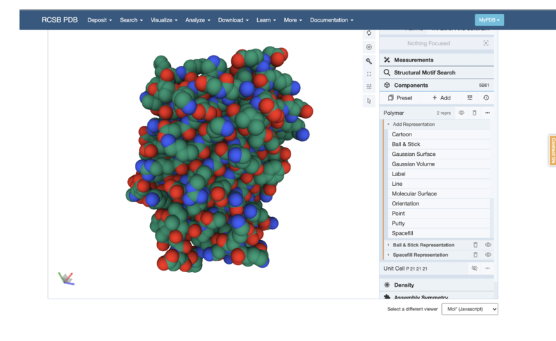 Screenshot of ion channel spacefilling model