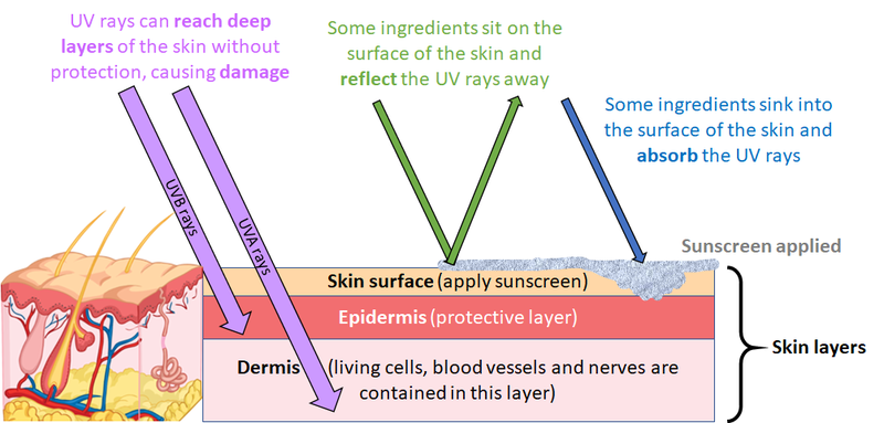 sunscreen diagram