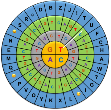 Nucleobase wheel with four concentric circles for encoding a message. The three inner circles have nucleobases. Each three letter code encodes for a letter of the alphabet or other symbol.