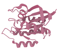The 3D structure of the "Hras GTPase" protein, taken from PDB ID "3k8y"